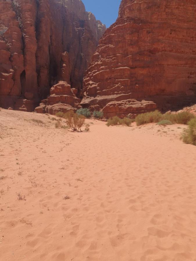Bedouin Experiences Διαμέρισμα Άκαμπα Εξωτερικό φωτογραφία